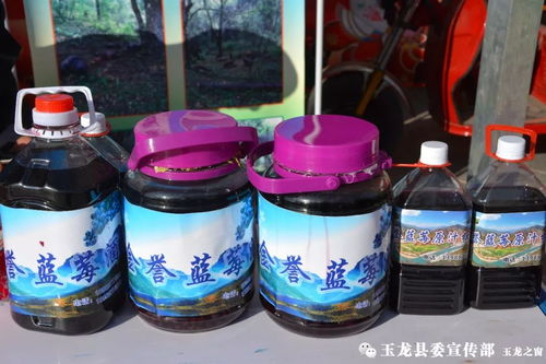 納西特色年貨節 農特產品與文藝演出共舞，春聯贈送添年味