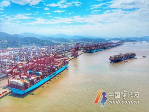 硬核力量曬成績 寧波舟山港上半年貨物吞吐量達6.79億噸，彰顯供應(yīng)鏈韌性
