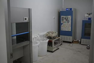 雙興新盛木耳菌包廠 優(yōu)質(zhì)菌包熱銷中，專業(yè)技術助力致富路
